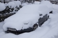 Dein Freund der Carport